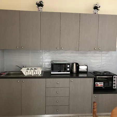 아파트호텔 Angela 파포스